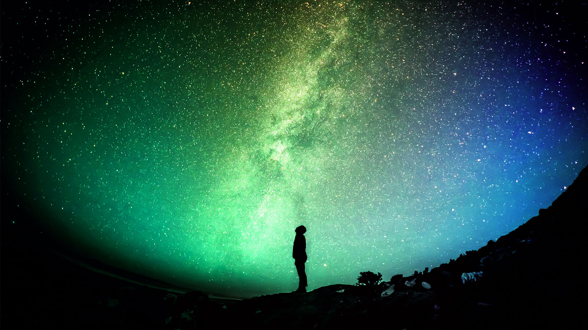 AU_Q-Cares_0000_Q-Cares_Stars