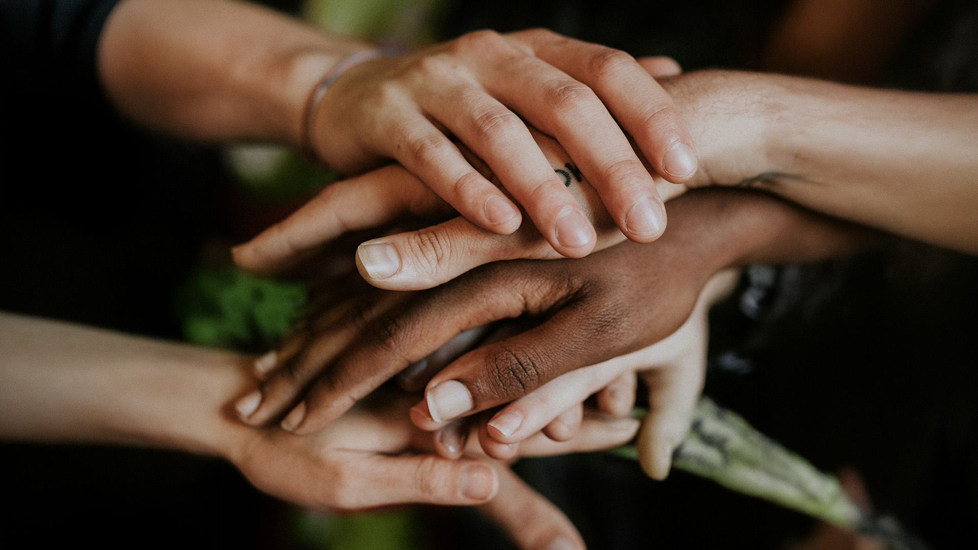 NZ_QMS_Q-Cares_Hands_LR