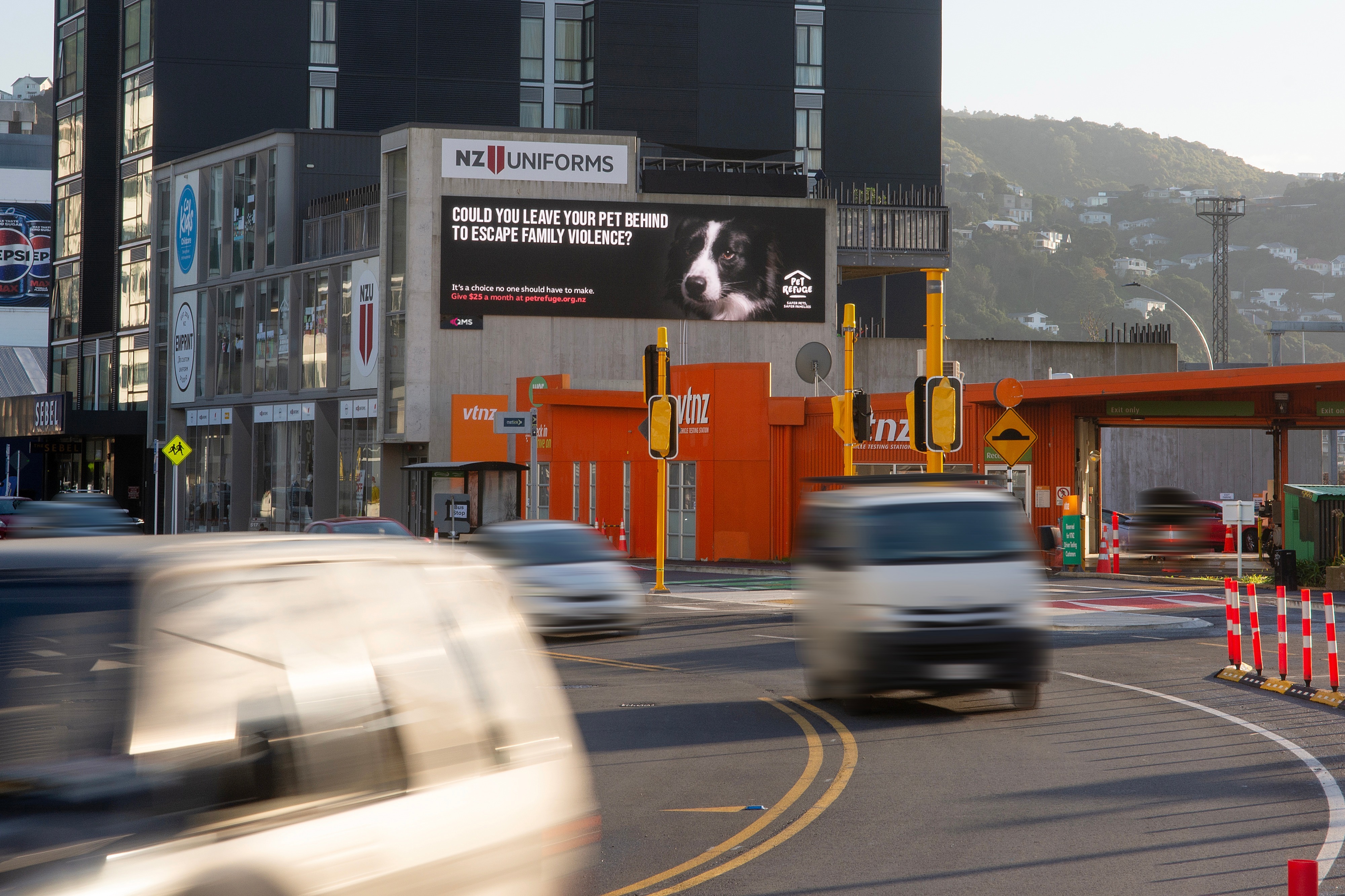 NZ_Pet Refuge_NFP_Wellington