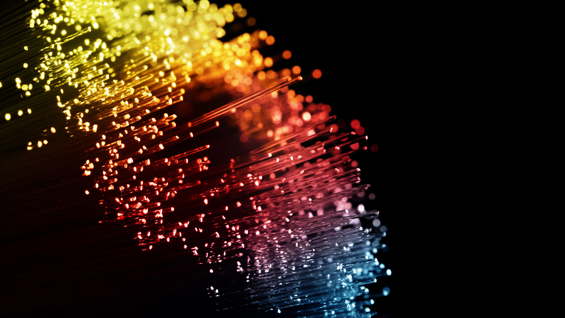 NZ_Q-Creative_Optimisation_LR - 1920 x 1080