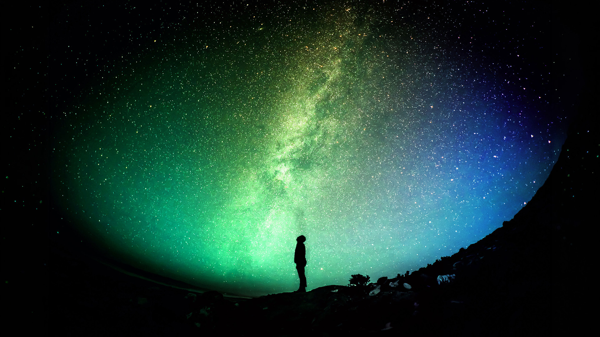 NZ_QMS_Sutainability_NightSky